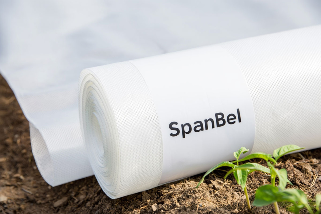СпанБел (SpanBel) СпанБел (SpanBel)